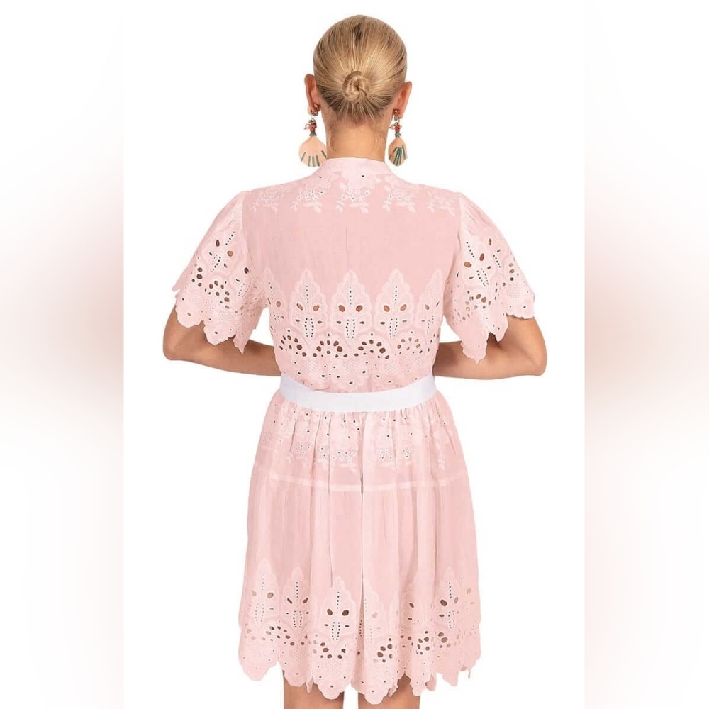 NWT Gretchen Scott Magnifico Eyelet Dress Soft Pink Size XL La Di Da - Picture 14 of 15